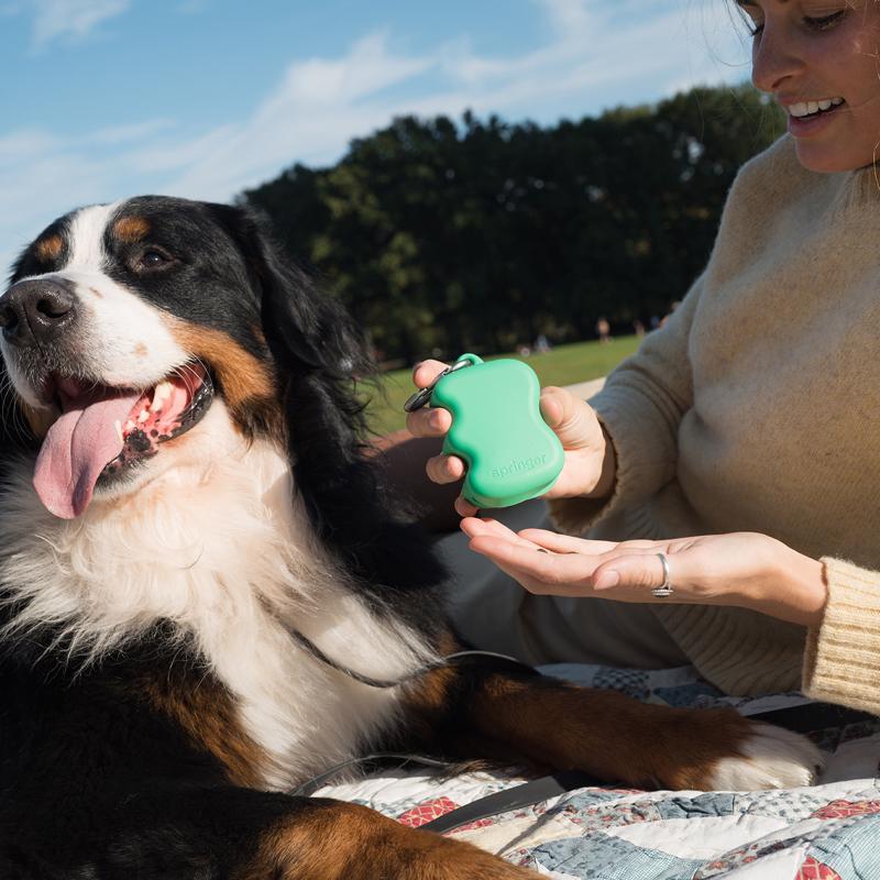 Springer Green Rubber Treat Pouch 1 pk