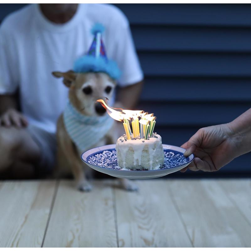 Cuppy Cake Birthday Cake with Pupfetti Sprinkles Treats For Dogs 4 oz 1 pk