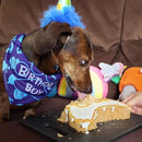 Puppy Cake Peanut Butter Treats For Dogs 9 oz 1 pk