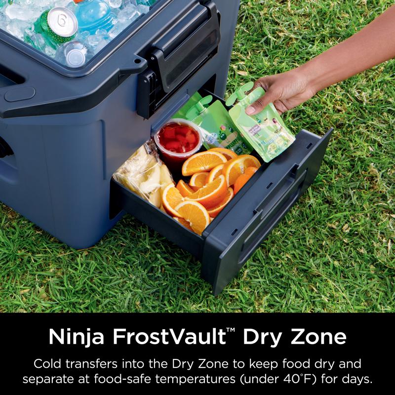 Ninja Blue 30 qt Hard Cooler