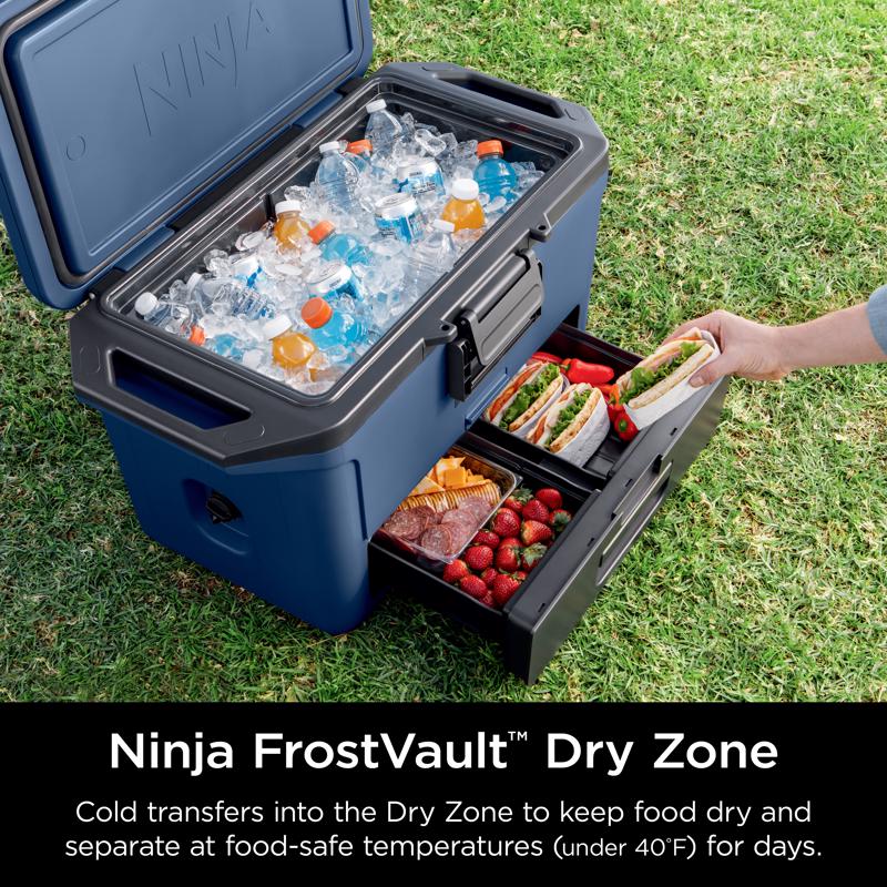 Ninja Blue 50 qt. cap. Hard Cooler