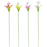 OTDR GRDN STK LILY 26"