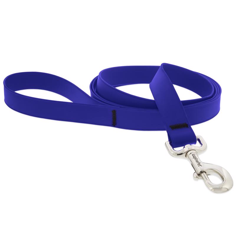 LEASH DOG BIOTHAN BLU 6'