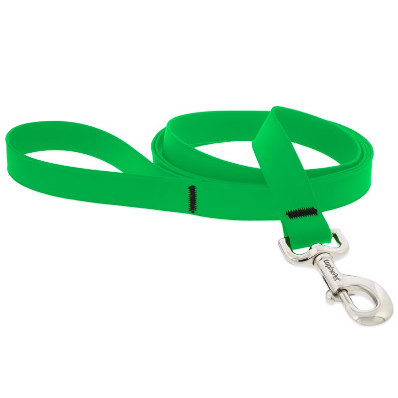 LEASH NEN GRN DOG 1"X6'