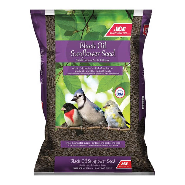OIL SUNFLOWER BSEED 20LB