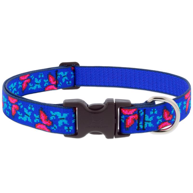 CLR DG SCL BTRFLY 16-28"