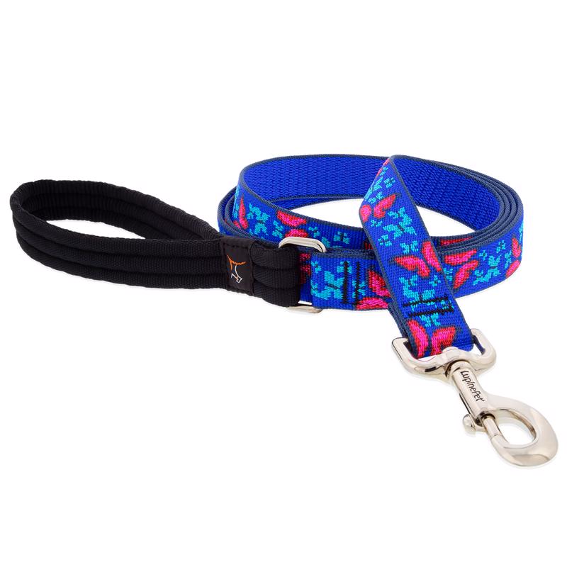 LEASH DOG SCL BTTRFLY 6'