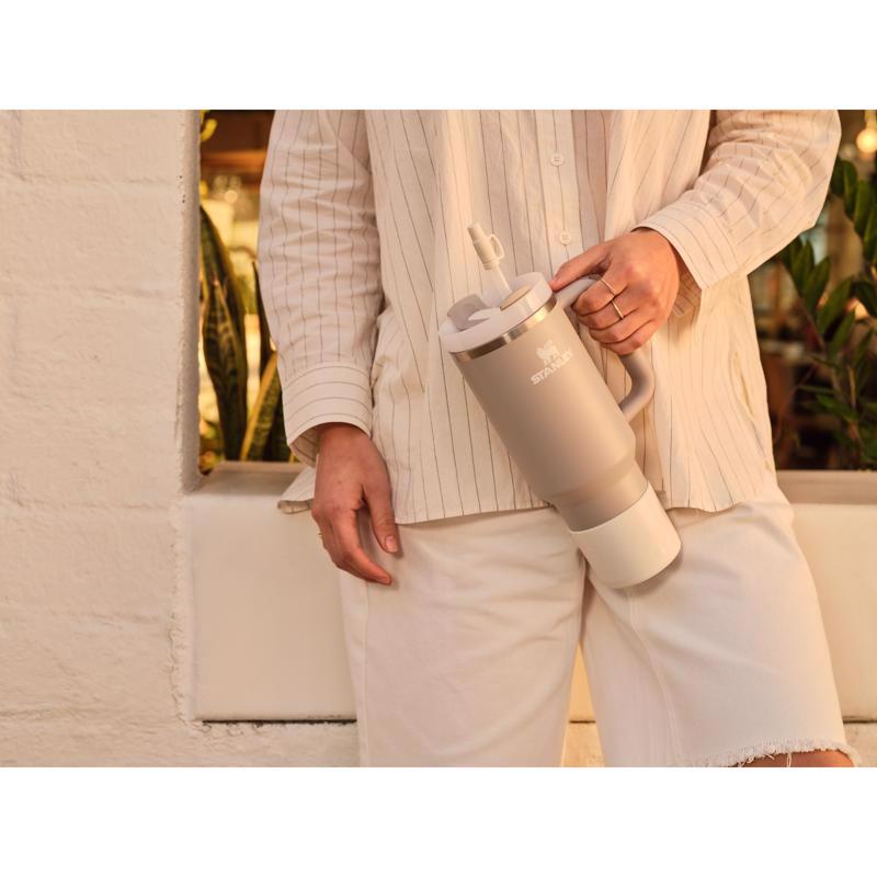Stanley Pale Stone BPA Free Insulated Cup Set