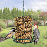 Kaytee Songbird Sunflower Seeds and Peanuts Wild Bird Seed 7.4 oz