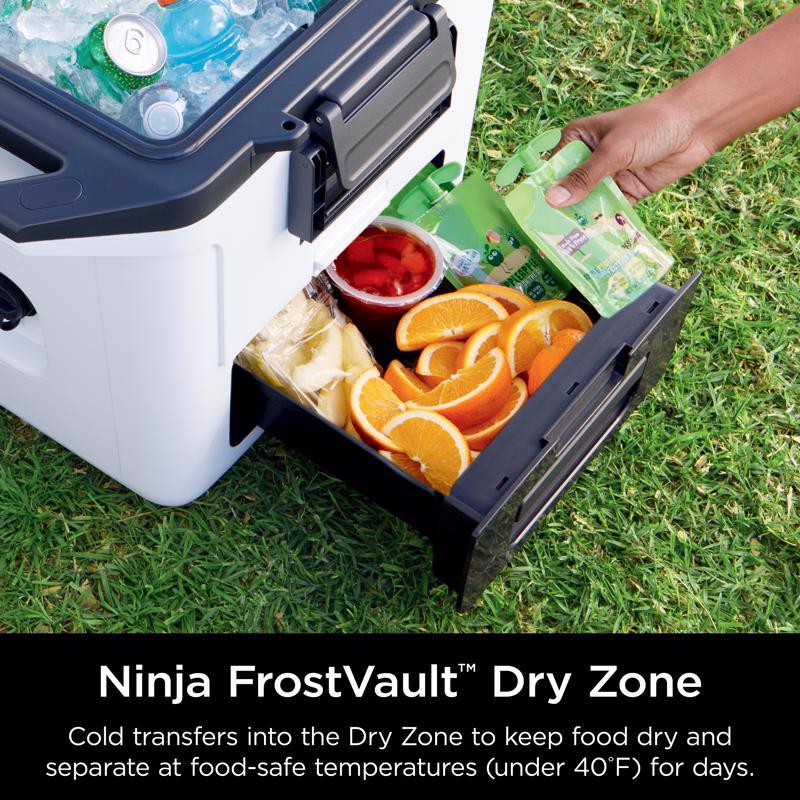 Ninja FrostVault White 30 qt Hard Cooler
