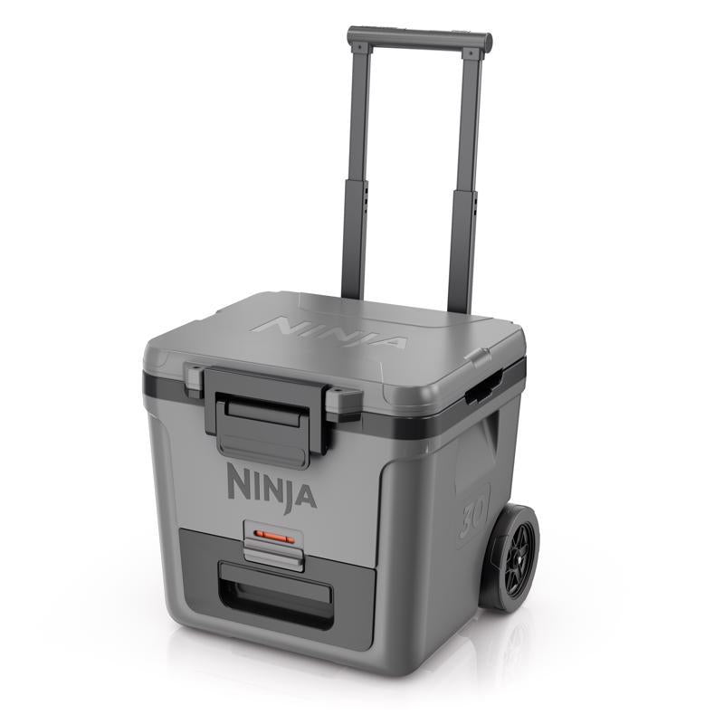 NS RLR CLR GRY 30QT