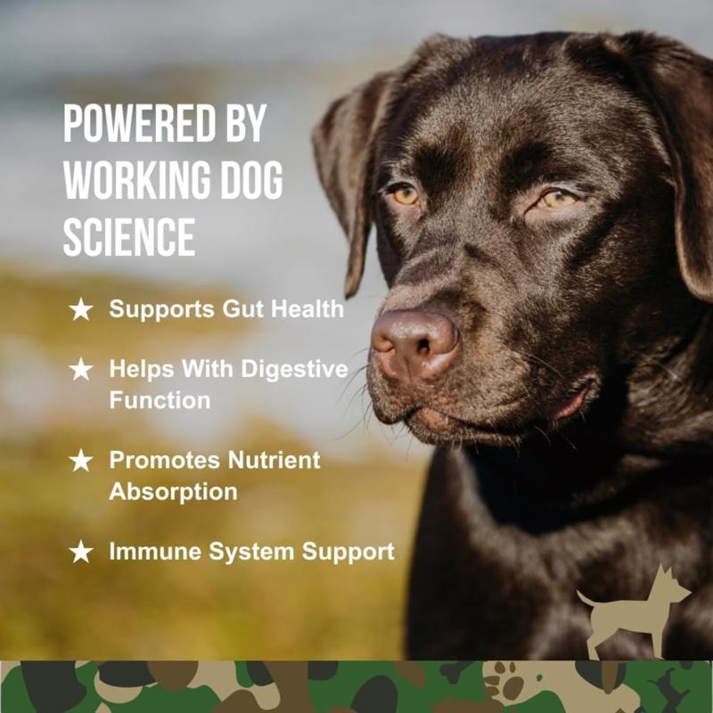 Operation Good Boy Dog Probiotic Supplement 60 ct