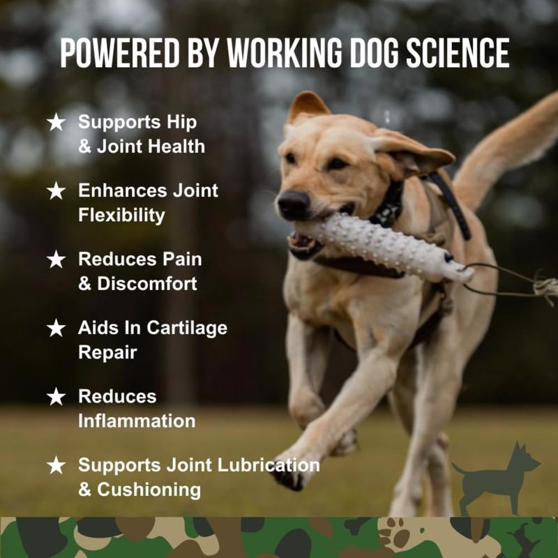 Operation Good Boy Dog Hip and Joint Supplement 60 ct