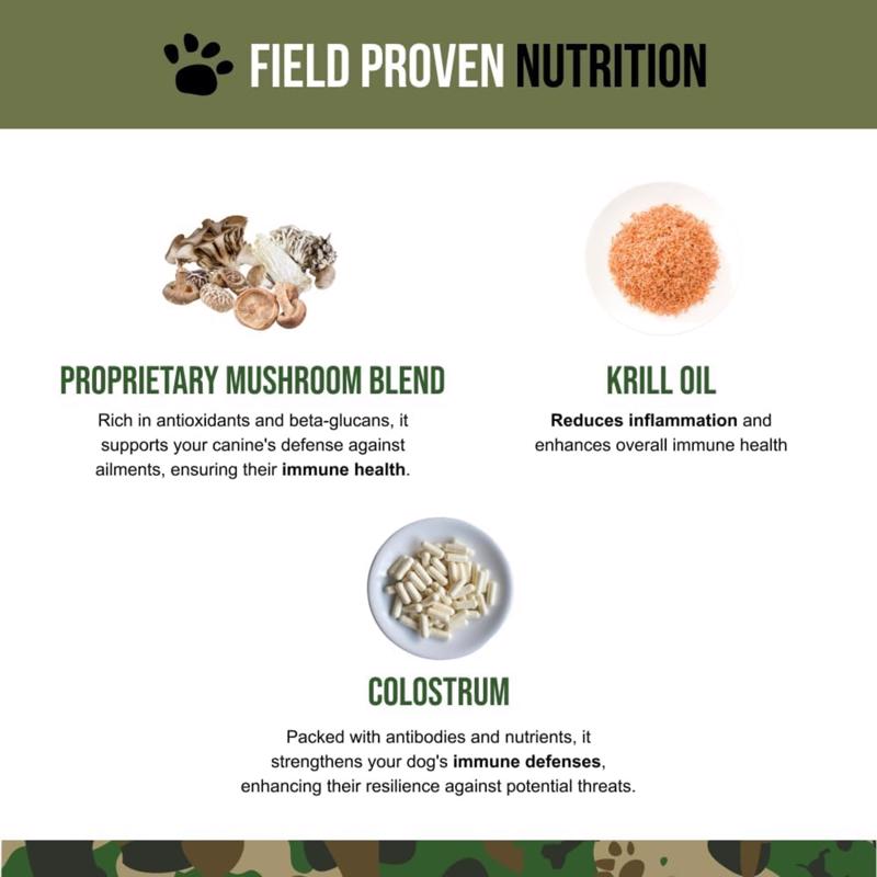 Operation Good Boy SRE Dog Joint and Immunity Support 60 ct