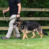 Operation Good Boy Tactical Black Nylon Dog Leash