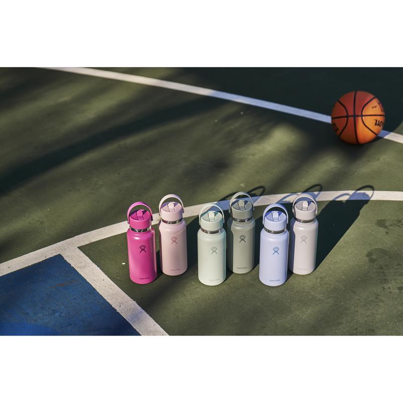 Hydroflask 32 fl. oz. Aloe BPA Free Insulated Bottle