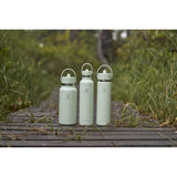 Hydroflask 32 fl. oz. Aloe BPA Free Insulated Bottle