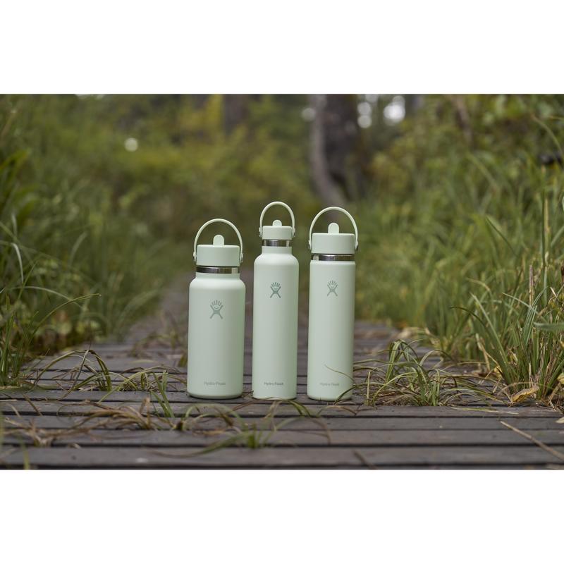 Hydroflask 32 fl. oz. Aloe BPA Free Insulated Bottle