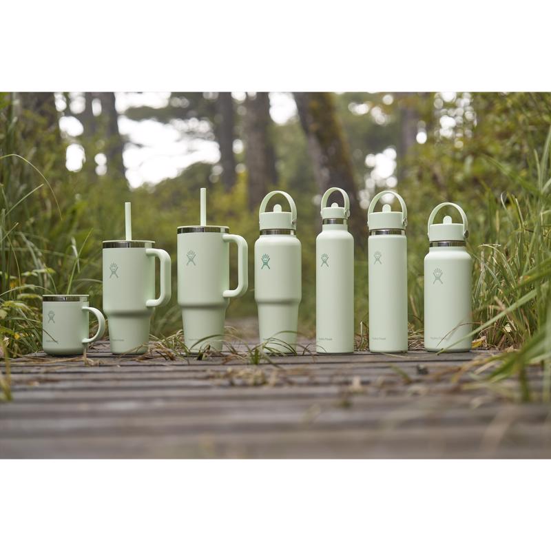 Hydroflask 24 fl. oz. Aloe BPA Free Insulated Bottle