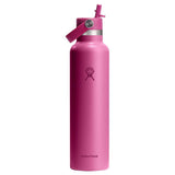 INSLTD BTL SS RF 24OZ