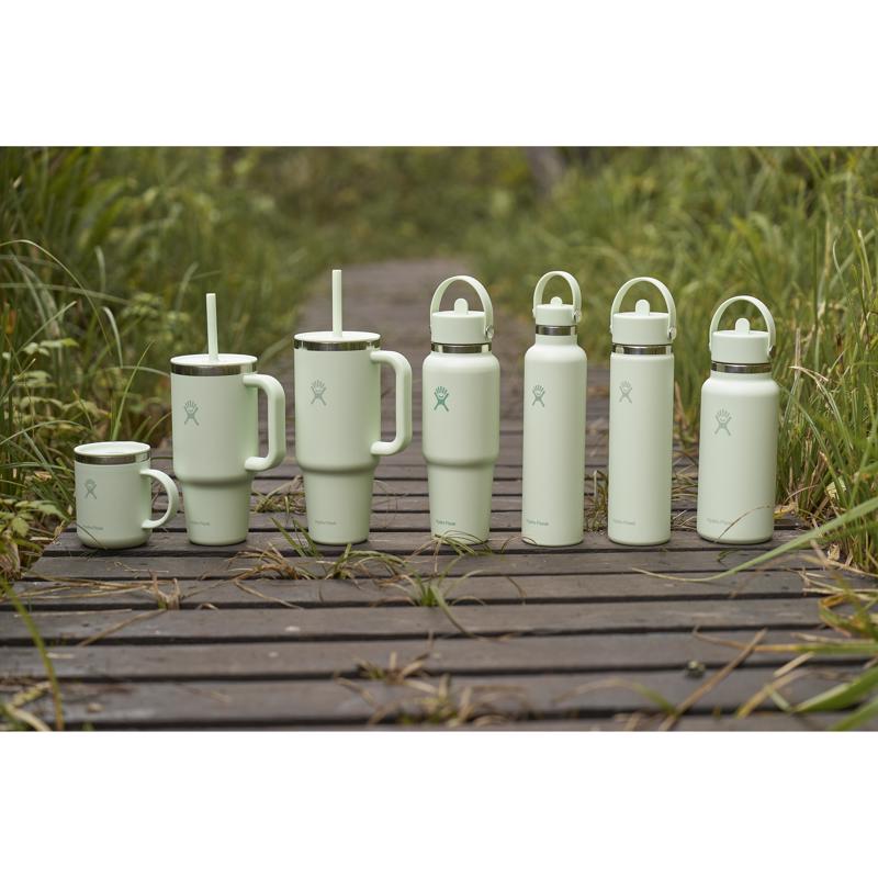 Hydroflask 32 fl. oz. Aloe BPA Free Insulated Straw Tumbler