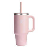 INSLT STR TMBL TRLM 32OZ