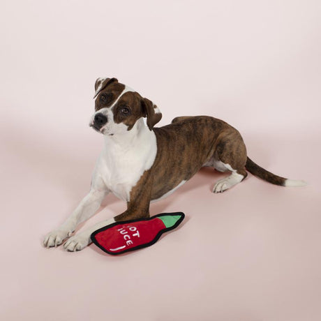 Pet Shop by Fringe Studio Multicolored Plush Hot Sauce Durable Pet Toy
