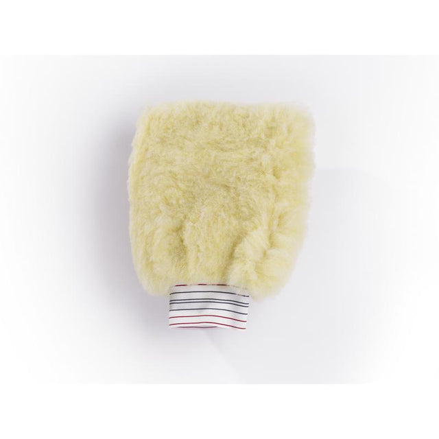 WASH MITT SP/WTR 2.5"