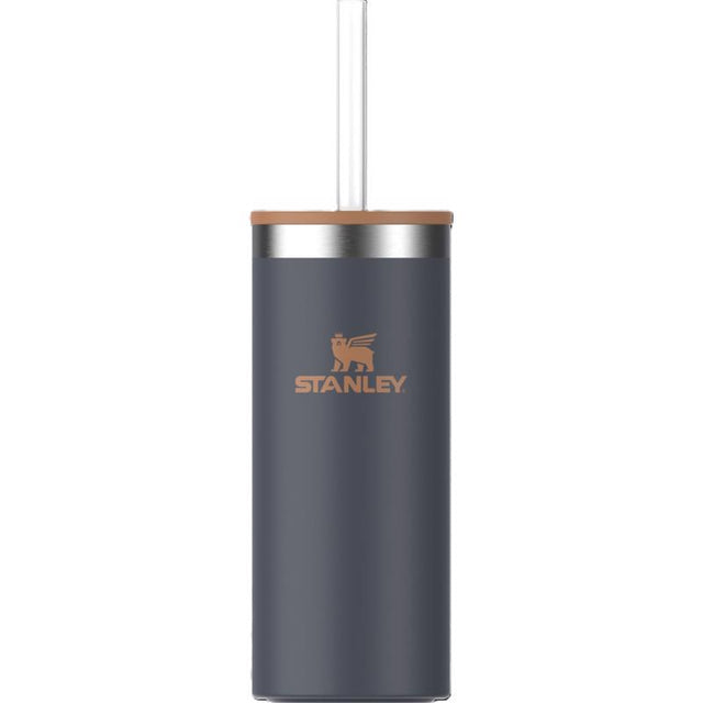 Stanley Everyday Slim Can 10 oz Twilight BPA Free Cooling Cup