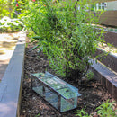 Havahart Small Live Catch Cage Trap For Mice 1 pk