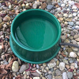 Farm Innovators Green Plastic 1 qt Heated Pet Bowl For Small Animals