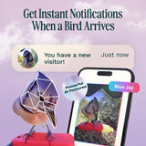 Bird Buddy 4 cups Plastic Perch Extender Smart-Enabled Smart Solar Camera Bird Feeder 1 ports
