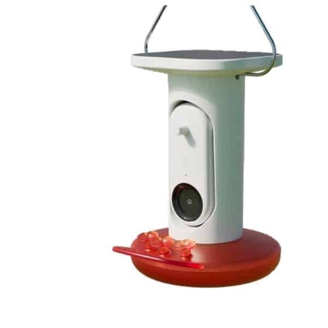 Bird Buddy Hummingbird 1.75 cups Plastic Smart-Enabled Smart Solar Camera Bird Feeder 3 ports