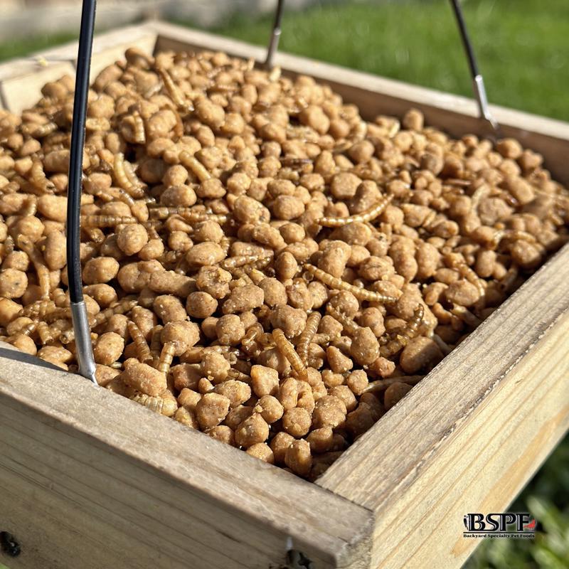 Hungrybird Suet Nuggets 3 lb