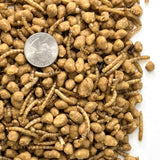 Hungrybird Suet Nuggets 3 lb