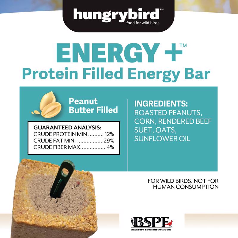 Hungrybird Wild Bird Treat Bar 17 oz
