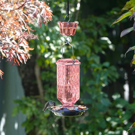 Nature's Way Hummingbird 23 oz Glass/Metal/Plastic Bird Feeder with Ant Moat 6 ports