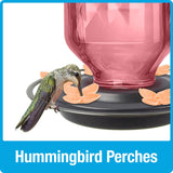 Nature's Way Hummingbird 23 oz Glass/Metal/Plastic Bird Feeder with Ant Moat 6 ports