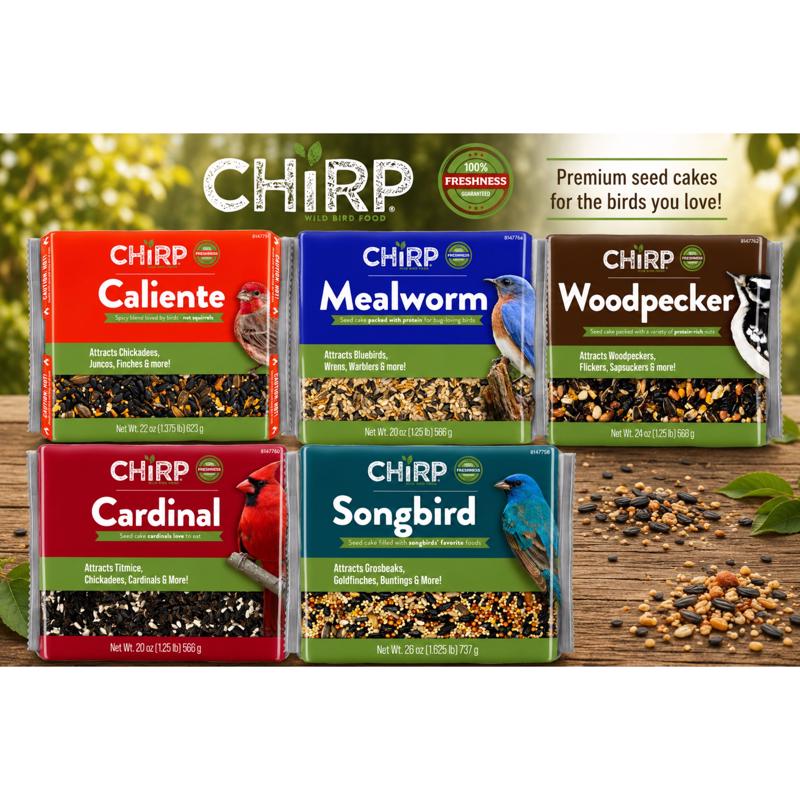 Chirp Songbird Wild Bird Seed Cake 26 oz
