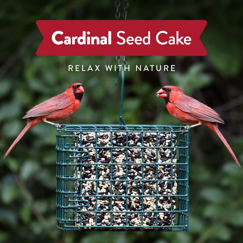 Chirp Cardinal Wild Bird Seed Cake 20 oz