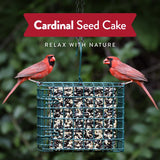 Chirp Cardinal Wild Bird Seed Cake 20 oz