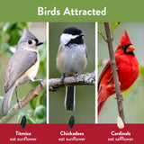 Chirp Cardinal Wild Bird Seed Cake 20 oz