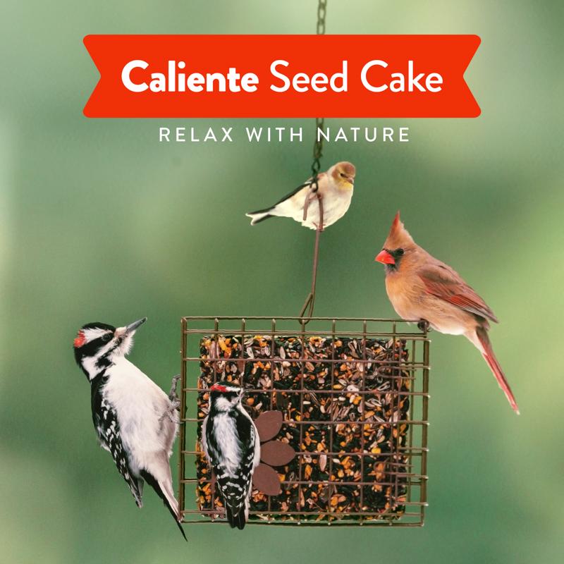 Chirp Caliente Wild Bird Seed Cake 22 oz