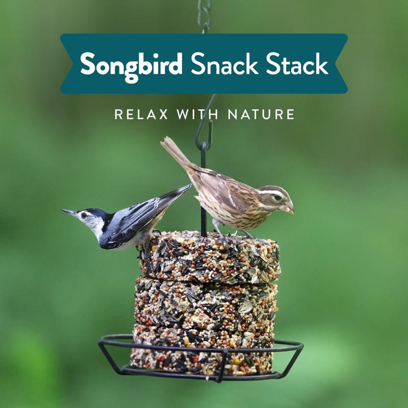 Chirp Songbird Wild Bird Seed Cake 8.25 oz