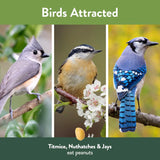 Chirp Pure Seed Peanuts Wild Bird Food 20 lb