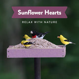 Chirp Pure Seed Sunflower Hearts Wild Bird Food 8 lb