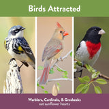 Chirp Pure Seed Sunflower Hearts Wild Bird Food 8 lb