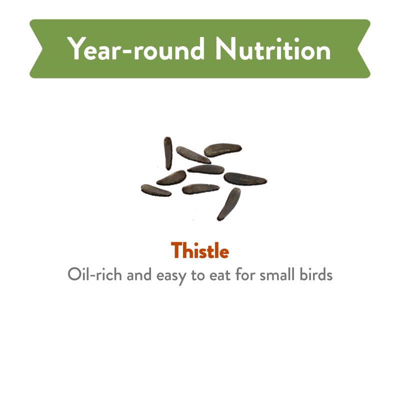 Chirp Pure Seed Thistle Seed Wild Bird Food 8 lb
