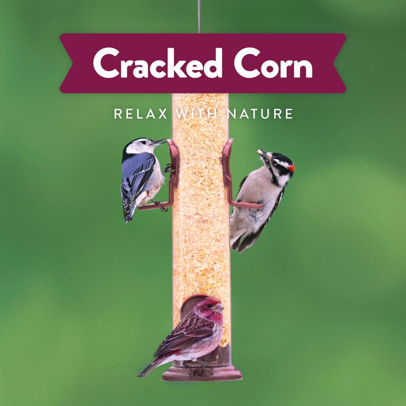 Chirp Pure Seed Cracked Corn Wild Bird Food 4 lb
