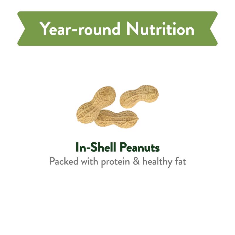 Chirp Pure Seed In-Shell Peanuts Wild Bird Food 8 lb